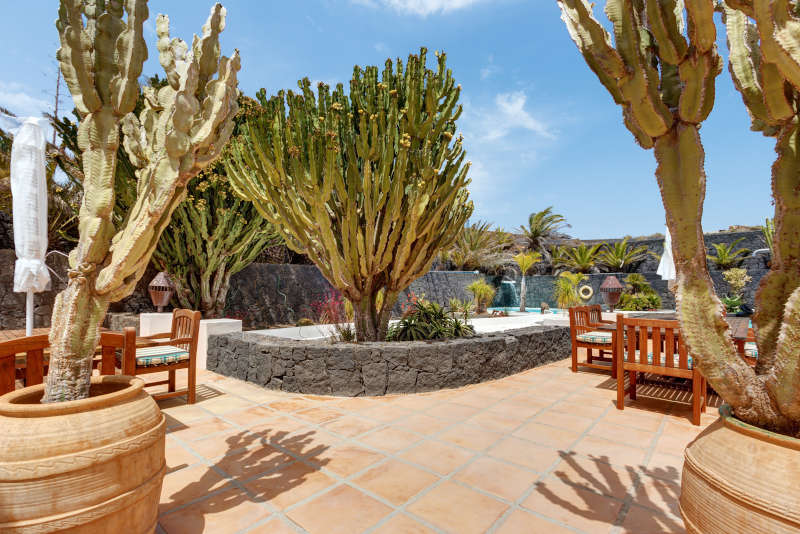 Villa El Cactus - alquiler de villas en lanzarote