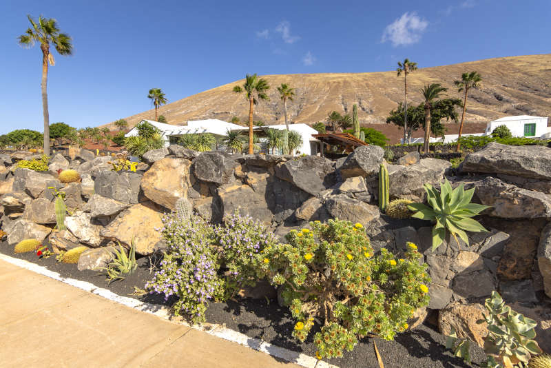 Villa Liquen - villas en lanzarote con piscina