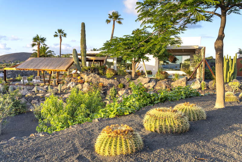 Villa Liquen - playa blanca lanzarote villas