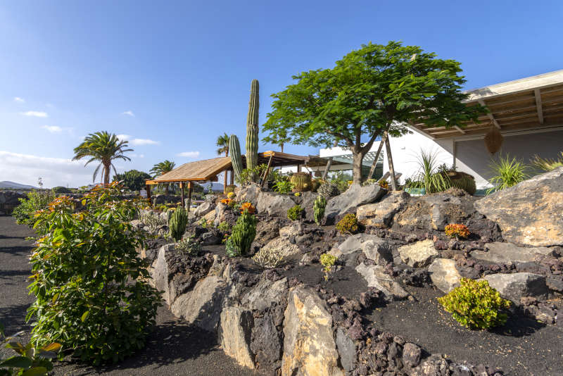 Villa Liquen - villa vacacional lanzarote