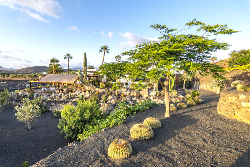 Villa Liquen - villa piscina privada lanzarote