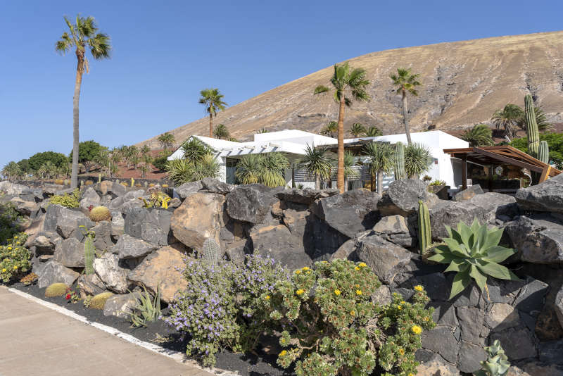 Villa Liquen - villas de lanzarote